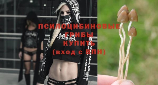 ALPHA PVP Пестово