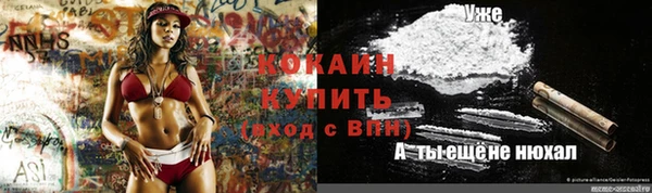 дживик Покачи