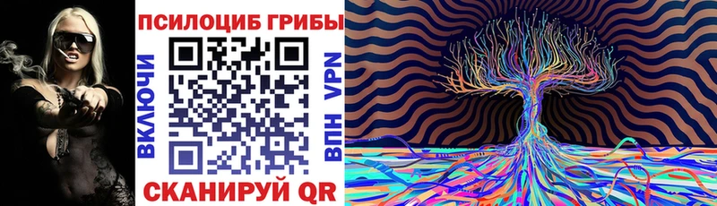 Галлюциногенные грибы Cubensis  Пятигорск 