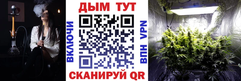 Канабис OG Kush  Пятигорск 